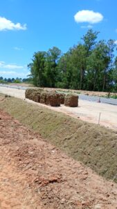Plantio de 70.000 m² de grama​